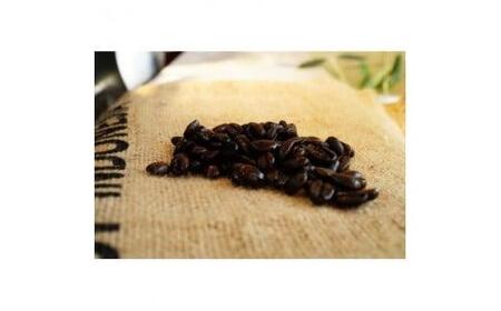 コーヒー豆  シングルオリジン 200g  |スペシャルティコーヒー 稜線 -RYOSEN- | ( 京都 珈琲 コーヒー 珈琲豆 スペシャルティ コーヒー 自家焙煎コーヒー 珈琲 200g )