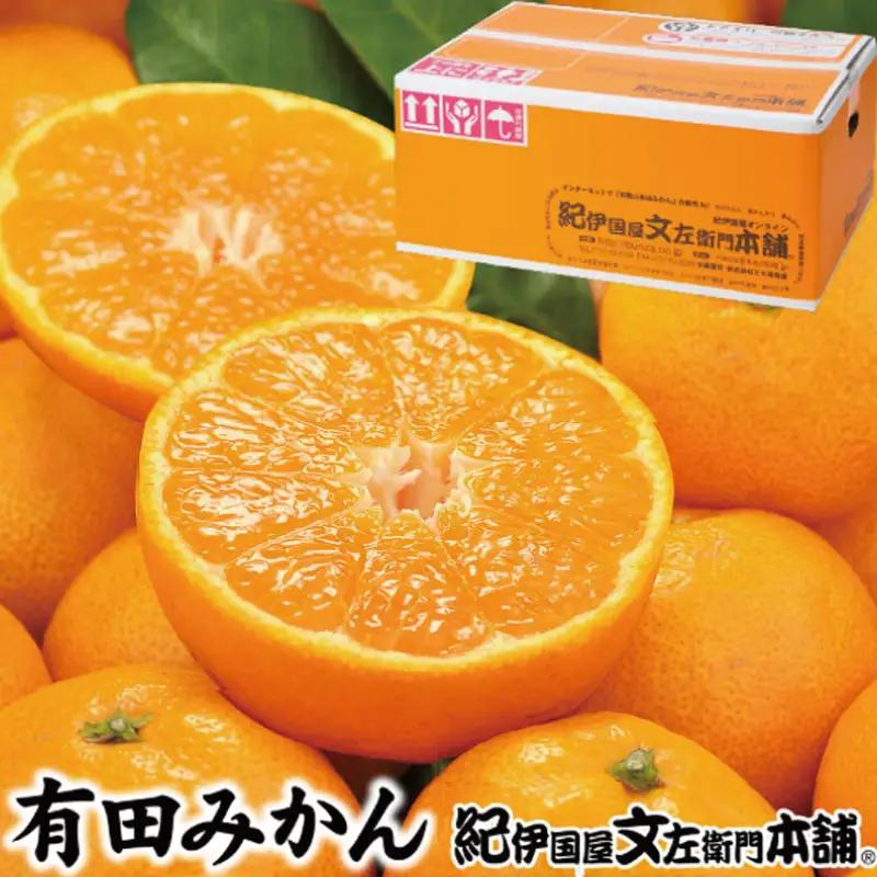 ブランド有田みかん【S】秀品10kg ／産地直送／薄皮で甘い美味しい和歌山県産／紀伊国屋文左衛門本舗　2026年11月上旬～2027年1月中旬頃に順次発送予定（お届け日指定不可）【ntb143C】