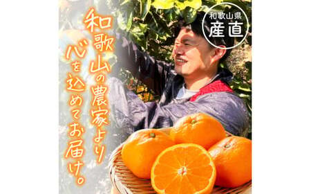 ★【全4回】和歌山旬のカンキツ定期便【M】3・5・9・11月発送（ご家庭用）※北海道・沖縄県・離島への配送不可 / 春の柑橘 初夏の柑橘 青切り 有田みかん 完熟有田みかん フルーツ くだもの 果物【