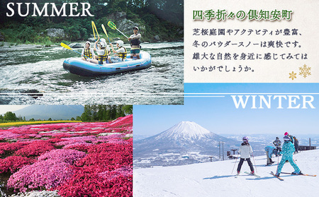 北海道倶知安町　日本旅行　地域限定旅行クーポン300,000円分 ツアー 宿泊 旅行 交通 5年 トラベル 宿泊券 チケット スキー スノボ 旅行券 観光 北海道 旅行 ニセコ 倶知安町 