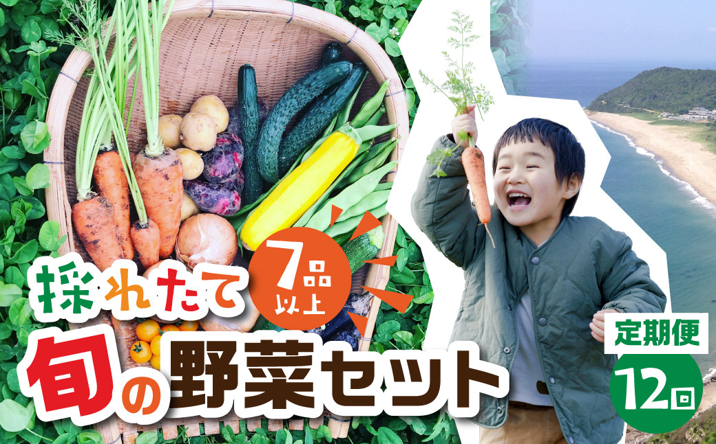 
【 12回 定期便 】金賞受賞 旬彩野菜セット 旬の野菜 7品目以上 レシピ付き お届け 国産 新鮮 農薬不使用 化学肥料不使用 産地直送 こだわり野菜
