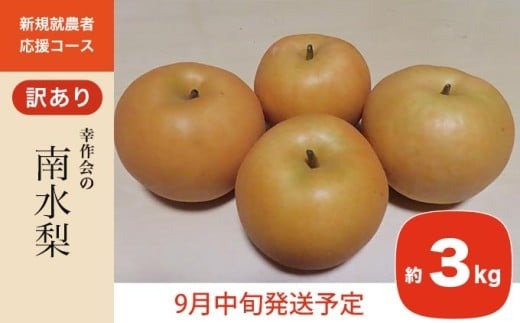 【訳あり】南水 約3kg ［新規就農者応援コース 幸作会］ 梨 なし フルーツ 果物 ワケアリ 傷 キズ 不揃い 規格外 家庭用 長野県産 信州 数量限定 【2025年9月中旬発送】［K-41］