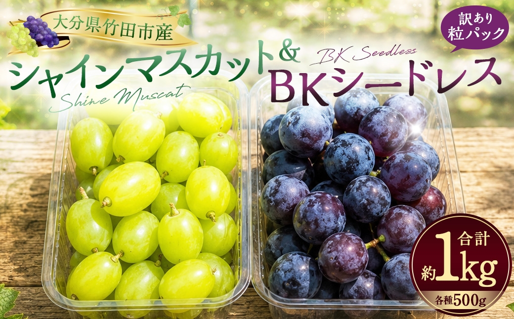 
                  【数量限定】 粒パック 訳あり シャインマスカット （約500g） & BKシードレス （約500g） 計約1kg （各1パック） 【2026年8月下旬～11月上旬発送開始予定】
                