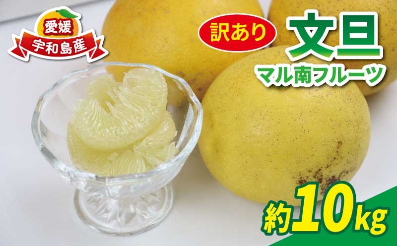 
                  訳あり 文旦 10kg マル南フルーツ 不揃い 訳アリ 訳あり品 訳有り わけあり 数量限定 ぶんたん ブンタン 土佐文旦 柑橘 フルーツ 果物 ご当地 お取り寄せ 愛媛蜜柑 愛媛みかん 愛媛 宇和島 B010-106038
                