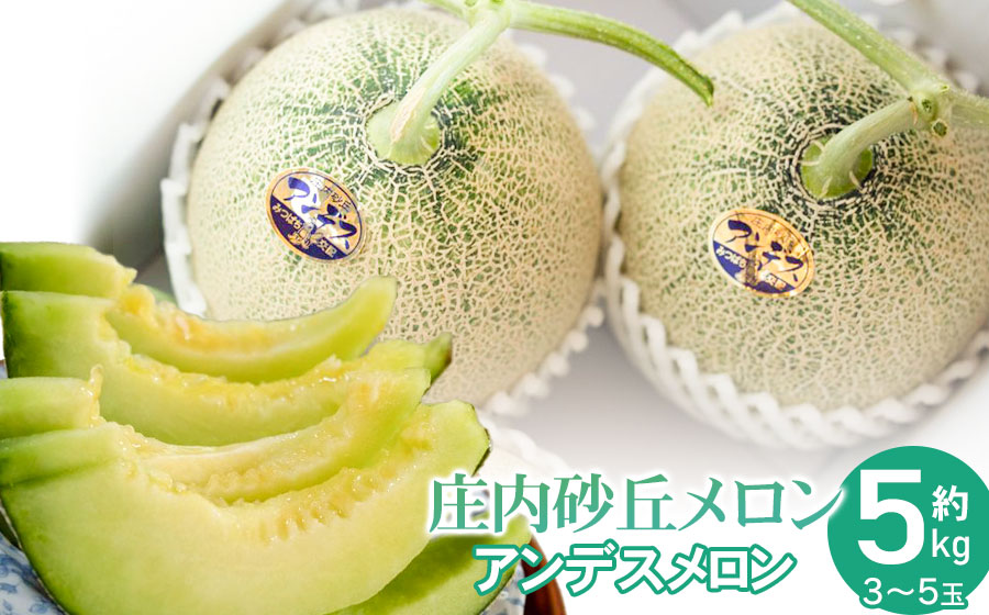 【令和8年産先行予約】菅原農園の庄内砂丘メロン 約5kg （3玉～5玉） アンデス メロン 【7月下旬～8月上旬】　K-835　菅原農園　鶴岡地区物産協同組合