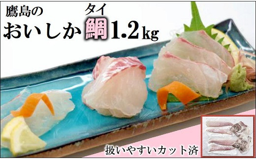 鷹島のおいしかタイ1.2kg( 鯛 お刺身 煮つけ 塩焼き 様々な料理 アラ付き )【B5-070】