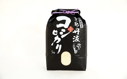 京丹波こしひかり 5kg 訳あり 《 数量限定 》 令和7年産 新米 京都 精米 白米 コシヒカリ ※北海道・沖縄・その他離島は配送不可