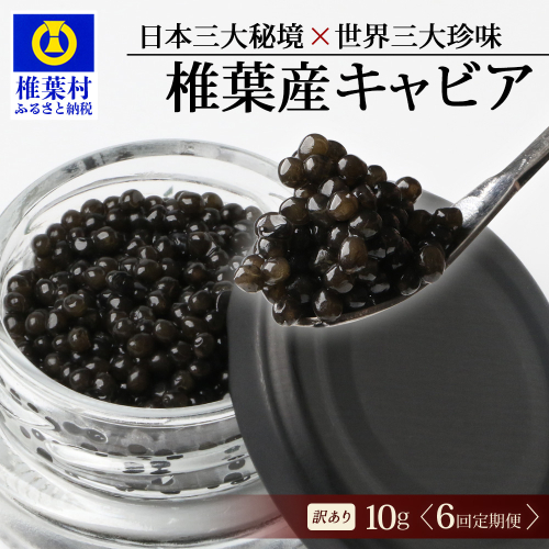 【6回定期便】【訳あり】 国産 キャビア HEIKE CAVIAR 10g × 6回 計60g 【世界三大珍味×日本三大秘境】SZ-116_6teiki
