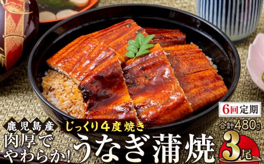 
                  【6回定期】うなぎ 蒲焼 160g×3尾【鹿児島産】地下水で育てた絶品鰻
                