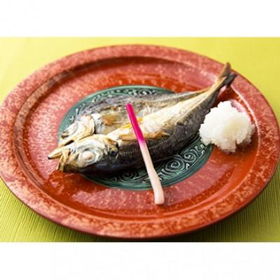 ふるさと納税 対馬市 対馬五月真あじ一汐干し 　2箱(各10枚)計20枚 |  | 03