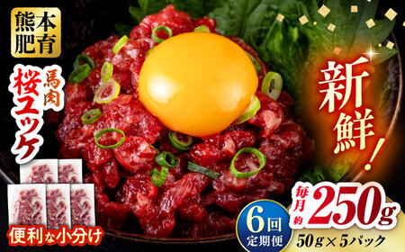 【全6回定期便】馬肉 さくらユッケ 50g×5パック 計250g 馬肉 桜ユッケ 赤身 生食 小分け 冷凍[AYBV029]