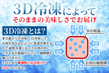 ＜3D冷凍宮崎牛焼肉食べ比べセット＞(合計600g)6肩ロース、バラ、モモ、ウデ、ロース、ヒレ各100gずつ！【MI089-my】【ミヤチク】