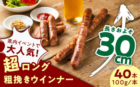 【長さ20-30cm超ロング！超粗挽きウインナー】GASBO(ガスボー)計40本(100g×2本入り×20P) / 佐賀県 / 山代ガス株式会社 旬菜舎さと山[41AABM037]