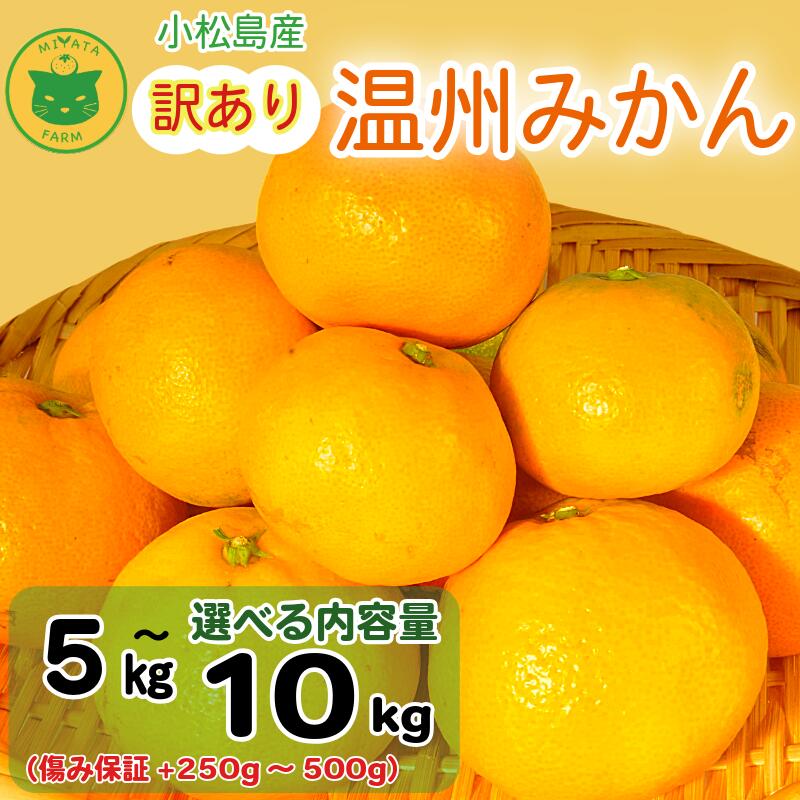 【ふるさと納税】 【2025年11月順次発送】 訳あり みかん 温州みかん5kg/10kg （+傷み保証250g～500g） ミカン 蜜柑 甘い フルーツ 柑橘 ジュース 小松島市 オススメ 人気 ふるさと納税 5kg 10kg