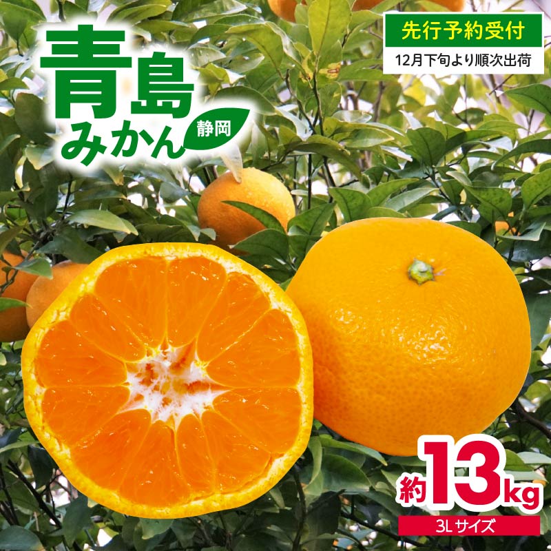 【ふるさと納税】 【先行予約】みかん 13kg 青島 特大 ミカン 果物 国産 フルーツ 柑橘 静岡県産 蜜柑 ビタミン 美味しい 発送期間: 12月下旬～1月下旬発送予定 静岡県 藤枝市