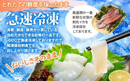 愛知県産　剣先イカ(アカイカ)3袋 [配送不可地域：離島]