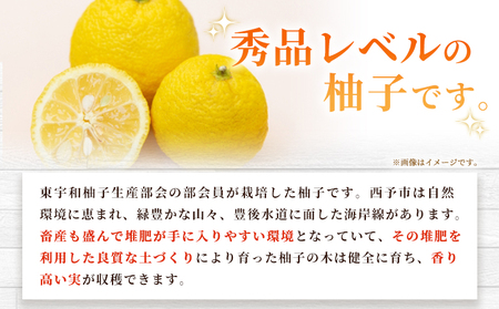 ＜柚子 秀 Lサイズ 18個＞ 約2kg 2000g ゆず 国産 果物 フルーツ 低樹高栽培 おいしい JAひがしうわ 東宇和農業協同組合 愛媛県 西予市【常温】『2025年10月下旬～11月下旬迄に