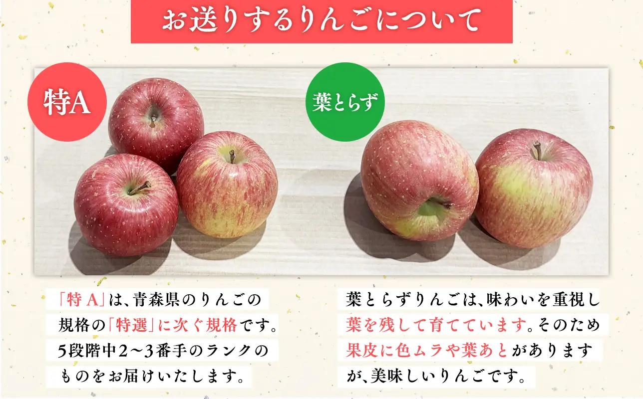 12月発送 糖度13度以上 サンふじ 約3kg  青森県産りんご[hi-0009-001]