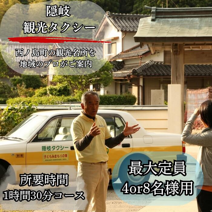 【ふるさと納税】西ノ島町観光タクシー利用券（Bコース：1時間半：4or9人乗り）
