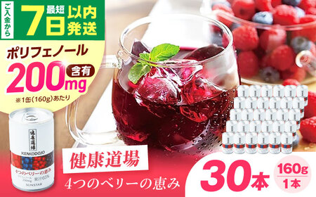 健康道場 4つのベリーの恵み 160g×30本[AOAD052]健康飲料