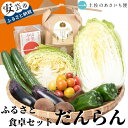 【ふるさと納税】13-(6)．ふるさと食卓セット　だんらん　高知県安芸市　土佐のあさいち便　減農薬栽培野菜　コシヒカリ　新鮮野菜　田舎みそ　野菜　果物　詰め合わせ　採れたて野菜　旬の野菜セット　健康　栄養