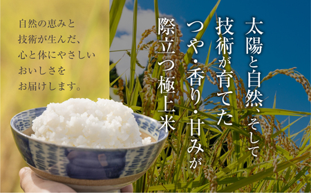 【定期便】《令和8年産 新米》こしひかり 10kg × 6回 定期便