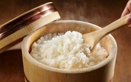 【令和7年産新米】新之助 白米 5kg 新潟米 しんのすけ[Y0470]