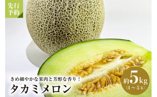 【令和7年産】タカミメロン 約5kg（4玉～5玉）山形県河北町産【JAさがえ西村山】