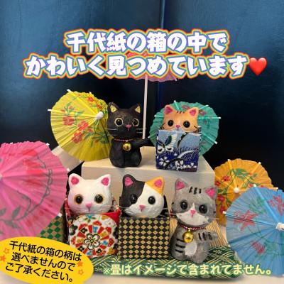 ふるさと納税 東秩父村 笠山猫6匹セット(シバ・ともにゃん・よしにゃか・はっちぃー・ひめにゃん・たかにゃん) |  | 02