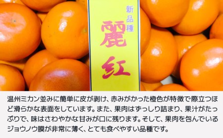 【先行予約・数量限定】野の花ファーム  秀品 麗紅 3kg みかん ミカン オレンジ 柑橘類 大分県産 九州産 津久見市 国産