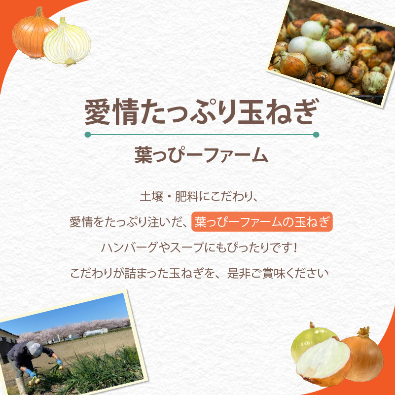 【農薬不使用】玉ねぎ 3kg | 野菜 玉ねぎ 玉葱 たまねぎ タマネギ オニオン 無農薬 おいしい うまい 甘い エコ こだわり SDGs  愛媛県 松山市 3kg
