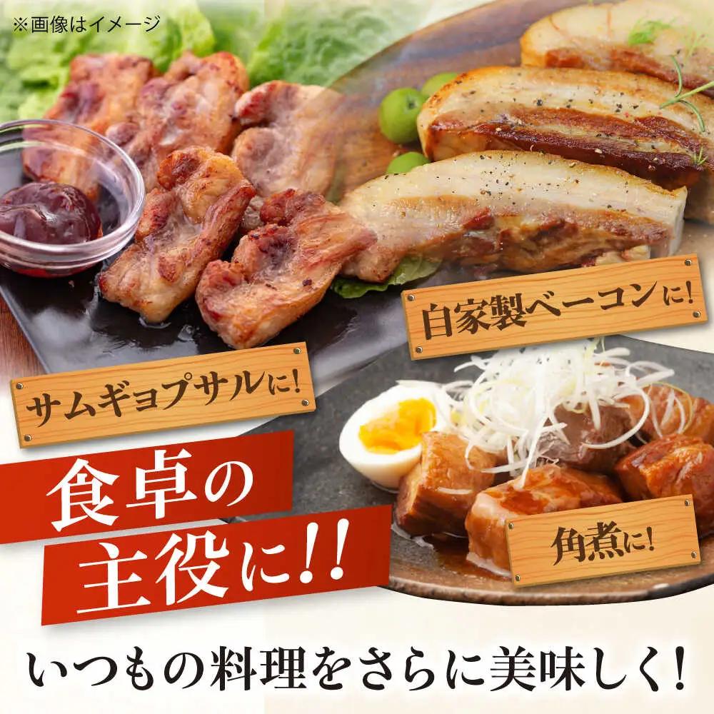  バラ ブロック 600g バラブロック AJAP072