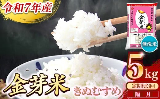 
                  【定期便】BG無洗米・金芽米きぬむすめ 5kg×3回  （隔月）【令和7年産 2ヶ月に1回 配送 6ヶ月 計15kg 半年間 島根県産 健康 節水 時短 アウトドア キャンプ 東洋ライス おすすめ 島根県 安来市】【価格変更】
                