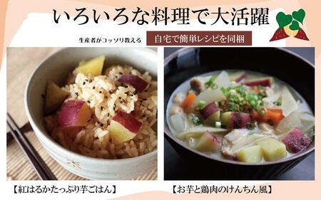 訳あり さつまいも 紅はるか 堀りたて5kg ( 1箱 ) 新物 鹿児島県産 2024年12月末までに出荷 【訳あり さつまいも 紅はるか 堀りたて 新物 鹿児島県産 5kg ( 1箱 ) 先行予約 