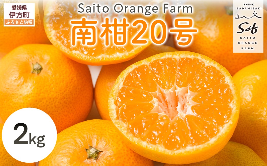 
                  【先行予約】Saito Orange Farmの南柑20号2kg（2026年12月下旬頃より順次発送予定）【 ふるさと納税 人気 おすすめ ランキング みかん ミカン 蜜柑 柑橘 南果20号 フルーツ 果物 産地直送 西宇和 Saito Orange Farm 愛媛県産 愛媛県 伊方町 送料無料 】 IKTAQ033
                