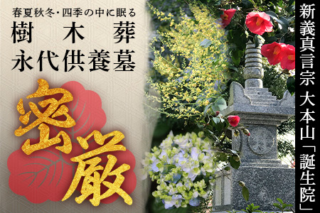 樹木葬永代供養墓「密厳」　佐賀県 鹿島市 鹿島 誕生院 お寺 寺院 樹木葬 永代供養 宗教 宗派 檀家 墓じまい 管理費不要　V-61