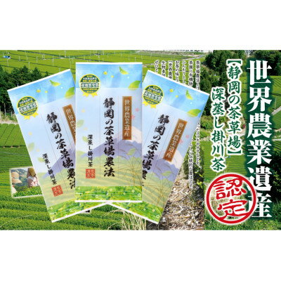 【ふるさと納税】世界農業遺産 茶草場農法 深蒸し掛川茶 100g×3袋 静岡県掛川産 煎茶 一番茶【配送不可地域：離島・沖縄県】【1619202】