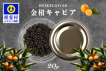 【世界三大珍味×日本三大秘境】HEIKE CAVIAR  金柑キャビア 20g 国産【産地直送】【簡易包装】［宮崎 椎葉 国産 ちょうざめ チョウザメ 金柑 きゃびあ キャビア 20g 魚卵 卵 クリーミー お酒 魚介 珍味 加工品 冷凍 高級 贅沢品 お取り寄せグルメ ディナー パーティー おつまみ グルメ ギフト 記念日 誕生日 プレゼント お祝い 贈り物 贈答 桐箱 希少］【SZ-127】