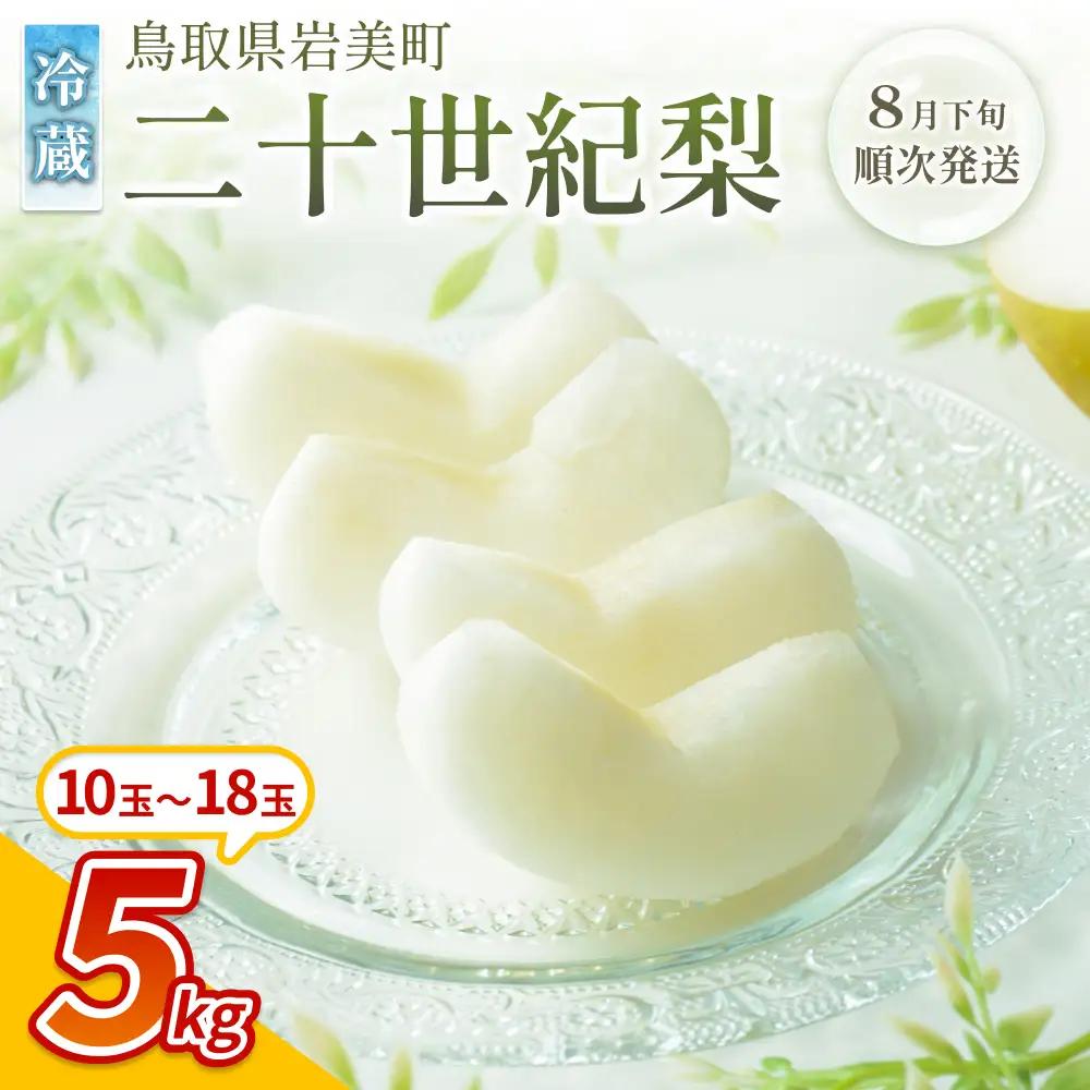 【先行予約】中野農園 梨 ”二十世紀梨” 5kg 冷蔵便発送｜鳥取 岩美 梨 なし ナシ 20世紀梨 青梨 果物 フルーツ ※お届けは2026年8月下旬頃～【41076】