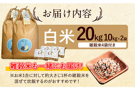 令和5年産 特別栽培米 いのちの壱(白米) 20kg(10kg×2袋) 雑穀米付き《90日以内に出荷予定(土日祝除く)》 熊本県 南阿蘇村 熊本県産 虹色のかば 白米 雑穀米