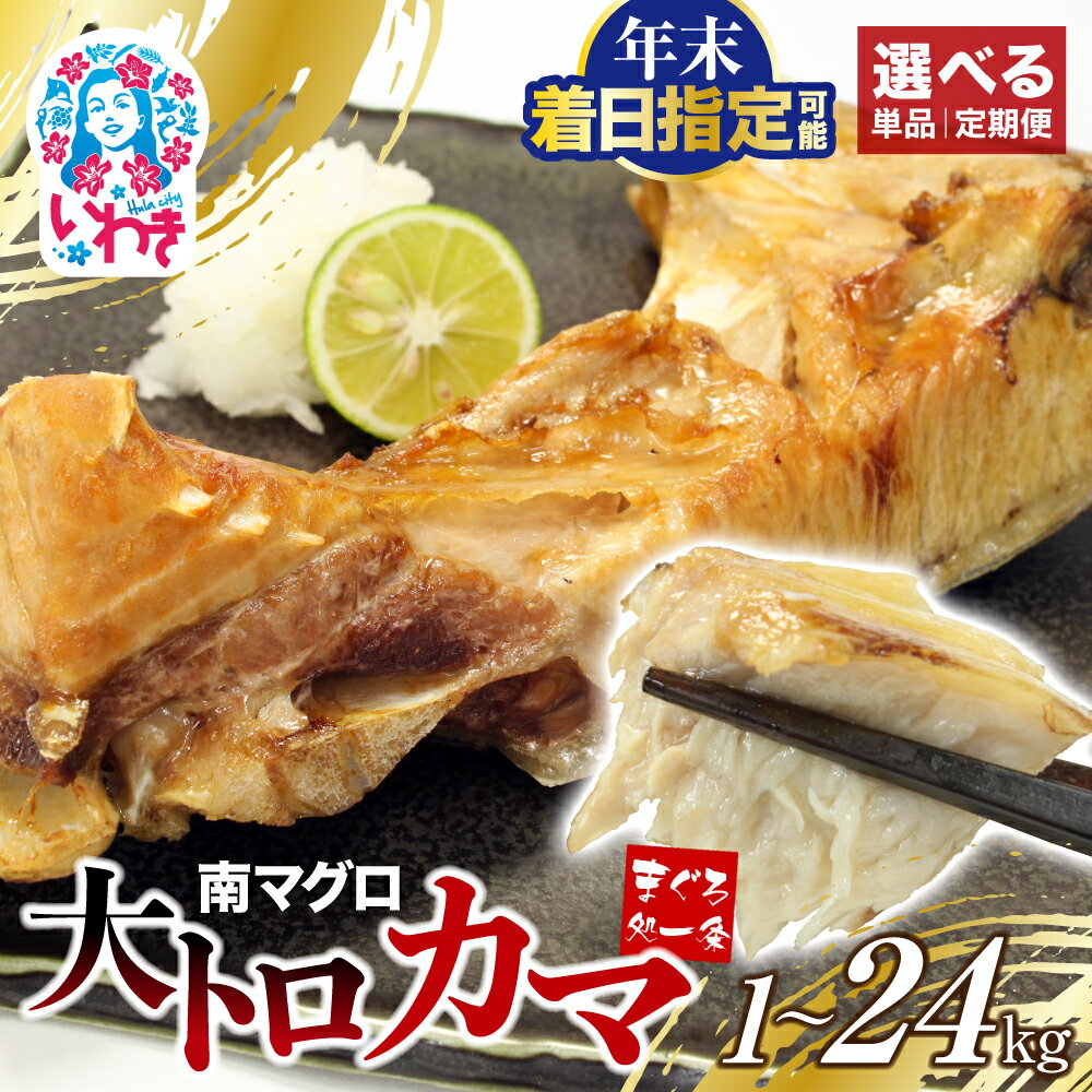 【ふるさと納税】 南マグロ 大トロ カマ 1kg 2kg 加熱用 選べる 回数 定期便 ｜ 冷凍 塩焼き 煮付け まぐろ 鮪 マグロ 焼き魚 高級種 希少部位 まぐろ処一条 年内発送 年内配送 配送月｜指定日 年末にお届け