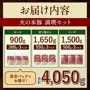 【定期便12回】火の本豚 満喫セット（ ロース 切り落とし ミンチ ） 4050g 豚肉