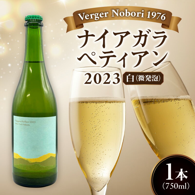 【ふるさと納税】余市町 ナイアガラワイン ペティアン 2023 750ml×1本 Verger Nobori 1976 辛口微発泡白ワイン 余市町登町 マスカット 瓶内二次発酵 ナイアガラ ワイン 白ワイン 淡い黄金色 きめ細やかな泡 柑橘系 さっぱり 酸味 口当たり クリーン 北海道 送料無料