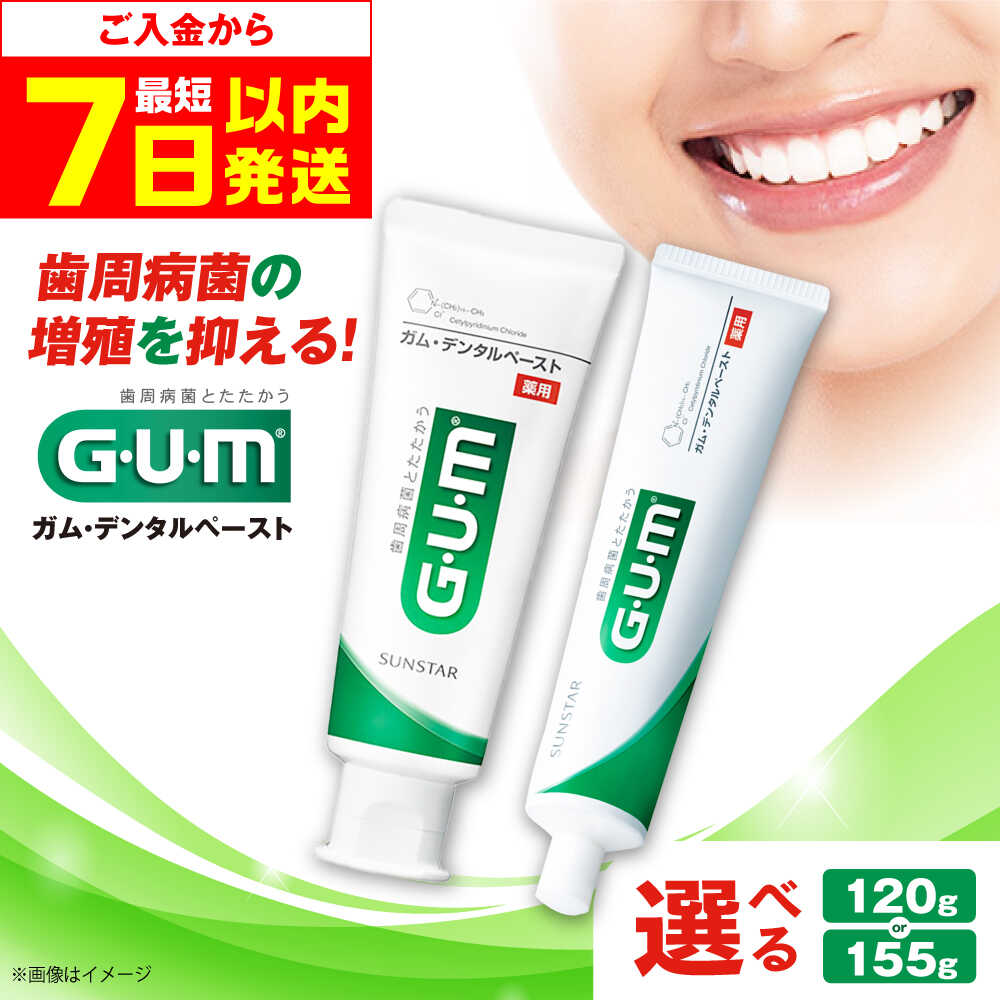 【ふるさと納税】【最短7日以内発送】【選べる容量】GUM デンタルペースト 歯磨き はみがき ハミガキ 歯磨き粉 歯みがき粉 歯ブラシ ハブラシ 薬用 医薬部外品 歯周病 虫歯 口臭 矯正 大容量 日用品 ストック 歯 人気 定番 おすすめ 大阪府高槻市/サンスター[AOAD011]