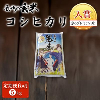 ふるさと納税 福知山市 【毎月定期便】衣川の男米コシヒカリ 玄米 5kg【京都府福知山市】全6回