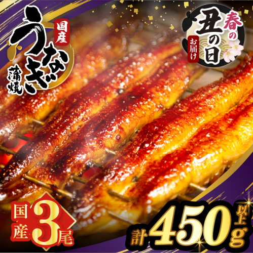【春の丑の日までにお届け!!】うなぎ蒲焼3尾(さんしょう・たれ付き)計450g以上 鰻 魚 魚介 加工品 国産_T026-0145-US1