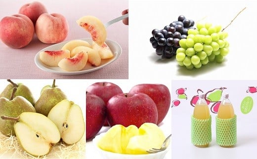 【令和8年産先行予約】 《定期便4回》 家庭で楽しむフルーツ定期便B 『フードシステムズ』 山形県 南陽市 [1253-R8]