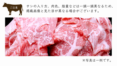 常陸牛 切り落とし 1.5kg ( 500g×3 ) (茨城県共通返礼品) 国産 切落し 焼肉 焼き肉 バーベキュー BBQ お肉 A4ランク A5ランク ブランド牛 黒毛和牛 和牛 国産黒毛和牛 国