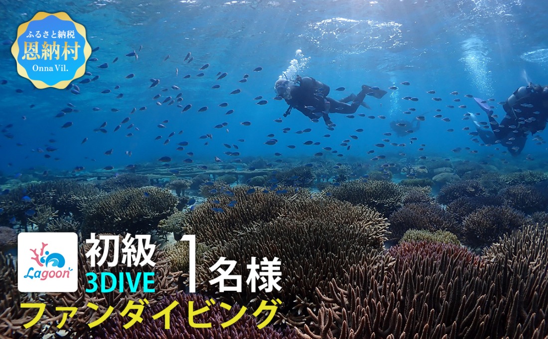 【恩納村ラグーン】ファンダイビング 初級 3DIVE 1名様