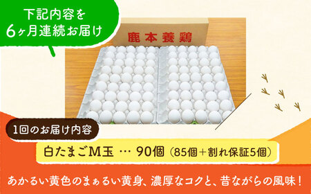 【全6回定期便】白たまご M玉 90個（85個＋5個割れ保証）【株式会社 かもと養鶏】タマゴ 玉子 熊本県 卵 国産 新鮮 しろたまご M玉 濃厚  [ZCA007]